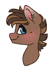 Size: 1100x1400 | Tagged: safe, artist:twixyamber, oc, oc only, pony, bust, male, portrait, simple background, solo, stallion, transparent background