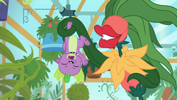 Size: 1920x1080 | Tagged: safe, screencap, audrey 3, spike, spike the regular dog, dog, equestria girls, g4, my little pony equestria girls: better together, my little shop of horrors, audrey 2, greenhouse, plant, potted plant, vine