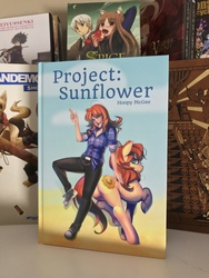 Size: 4032x3024 | Tagged: safe, artist:bakki, oc, oc:erin olsen, oc:sunflower, human, pony, fanfic:project sunflower, book, converse, duality, fanfic, fanfic art, fanfic cover, hardcopy fanfic, human ponidox, irl, photo, ponified, self ponidox, shoes