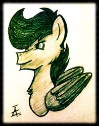 Size: 754x960 | Tagged: safe, artist:harcoal, oc, oc only, oc:harcoal, pegasus, pony, bust, monochrome, portrait, solo