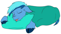 Size: 1792x990 | Tagged: safe, artist:ylpmis, oc, oc only, oc:umami stale, pony, :p, blanket, pillow, silly, simple background, sleeping, solo, tongue out, transparent background