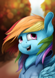 Size: 1024x1448 | Tagged: safe, artist:xormak, rainbow dash, pegasus, pony, g4, autumn, clothes, female, hoodie, mare, path, solo, tree
