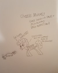 Size: 2988x3735 | Tagged: safe, artist:pony_brony_art, boneless, cheese sandwich, pony, g4, crossover, duo, high res, milo murphy, milo murphy's law, monochrome, paper, pencil, pencil drawing, traditional art, voice actor joke, weird al yankovic