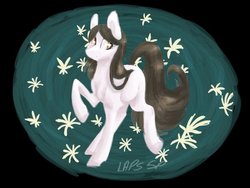 Size: 600x450 | Tagged: safe, artist:laps-sp, oc, oc only, earth pony, pony, female, flower, lily (flower), mare, solo