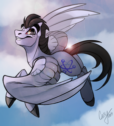Size: 1280x1408 | Tagged: safe, artist:casynuf, oc, oc only, oc:wing, pegasus, pony, cloud, colored hooves, colored wings, colored wingtips, flying, freckles, lens flare, male, sky, solo, stallion