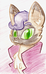 Size: 571x909 | Tagged: safe, artist:shoeunit, capper dapperpaws, cat, anthro, g4, my little pony: the movie, bust, chest fluff, colored pencil drawing, male, portrait, solo, traditional art