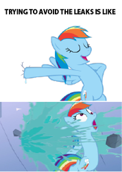 Size: 189x265 | Tagged: safe, edit, edited screencap, screencap, rainbow dash, pegasus, pony, g4, the mysterious mare do well, dam, female, image macro, mare, meme, meta:leak, picture for breezies, solo