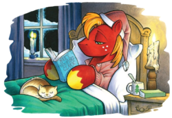 Size: 792x545 | Tagged: safe, artist:andy price, big macintosh, cat, earth pony, pony, g4, spoiler:comic, spoiler:comicholiday2015, bed, blanket, book, candle, christmas, clothes, cup, hat, holiday, hoof hold, lidded eyes, lying, lying on bed, male, nightcap, nightstand, pillow, reading, santa hat, shelf, stallion, window, winter