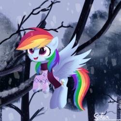 Size: 1550x1550 | Tagged: safe, artist:songbirdserenade, rainbow dash, pegasus, pony, g4, clothes, cute, daaaaaaaaaaaw, dashabetes, female, flying, hnnng, mare, open mouth, scarf, smiling, solo, spread wings, sweater, wings, winter