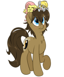 Size: 1000x1200 | Tagged: safe, artist:fluffyxai, derpy hooves, fluttershy, oc, oc:spirit wind, earth pony, pony, 2018 community collab, derpibooru community collaboration, g4, chest fluff, movie accurate, plushie, simple background, transparent background