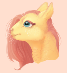 Size: 769x837 | Tagged: safe, artist:jayrockin, fluttershy, pony, tiny sapient ungulates, g4, bust, female, mare, solo, whiskers