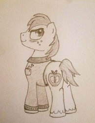 Size: 2760x3558 | Tagged: safe, artist:crazyparrot, big macintosh, earth pony, pony, g4, clothes, high res, male, monochrome, solo, traditional art