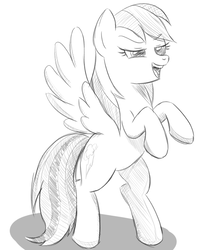 Size: 738x922 | Tagged: safe, artist:sumin6301, rainbow dash, pegasus, pony, g4, female, mare, monochrome, rearing, simple background, sketch, smiling, solo, white background