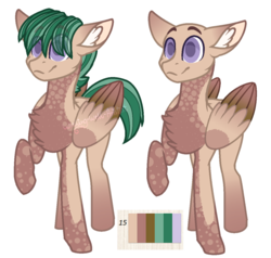 Size: 1193x1138 | Tagged: safe, artist:wishing-well-artist, oc, oc only, pegasus, pony, bald, chest fluff, male, raised hoof, reference sheet, solo, stallion