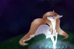 Size: 3000x2000 | Tagged: safe, artist:sofienriquez, oc, oc only, earth pony, pony, female, high res, looking up, mare, night, pond, prone, solo, starry night, stars
