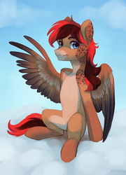 Size: 2438x3380 | Tagged: safe, artist:aphphphphp, oc, oc only, pegasus, pony, cloud, commission, high res, looking at you, male, pale belly, pegasus oc, sitting, solo, stallion