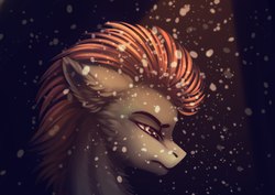 Size: 2560x1814 | Tagged: safe, artist:dragonataxia, lightning dust, pegasus, pony, g4, bust, ear fluff, female, frown, lidded eyes, mare, portrait, profile, scowl, snow, solo
