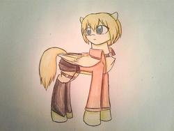 Size: 1012x760 | Tagged: safe, artist:ponime11, pegasus, pony, armin arlert, attack on titan, clothes, ponified, solo, traditional art