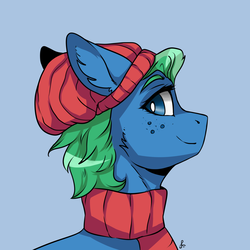 Size: 2000x2000 | Tagged: safe, artist:serodart, oc, oc only, pony, cap, clothes, hat, high res, scarf, smiling, solo