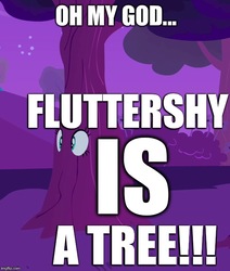 Size: 607x717 | Tagged: safe, fluttershy, g4, fluttertree, funny, hilarious, image macro, meme, puns in the comments, slowpoke, tree, tree costume