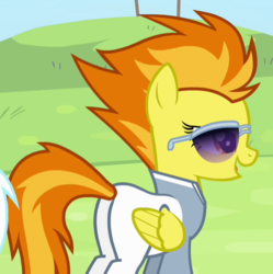 Size: 534x537 | Tagged: safe, screencap, spitfire, pegasus, pony, g4, rainbow falls, butt, cropped, female, firebutt, mare, plot, solo, sunglasses, warmup suit