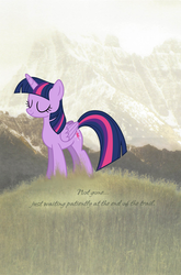 Size: 843x1280 | Tagged: safe, twilight sparkle, alicorn, pony, g4, female, solo, twilight sparkle (alicorn)