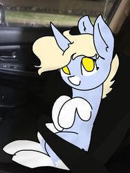 Size: 3024x4032 | Tagged: safe, artist:nootaz, oc, oc only, oc:nootaz, car, irl, photo, ponies in real life, ponified animal photo, seatbelt
