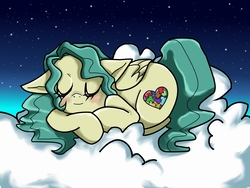 Size: 1024x768 | Tagged: safe, artist:pushpin-heart, oc, oc only, oc:patchwork, pegasus, pony, cloud, eyes closed, female, mare, night, sleeping, solo, starry night