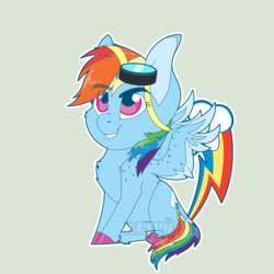 Size: 3300x3300 | Tagged: safe, artist:denahzi, rainbow dash, pony, g4, chibi, female, goggles, high res, solo