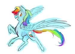 Size: 1194x850 | Tagged: safe, artist:bebbies, artist:the-doodle-queen, rainbow dash, pegasus, pony, g4, female, mare, profile, raised hoof, simple background, smiling, solo, spread wings, starry eyes, white background, wingding eyes, wings