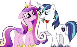 Size: 2546x1580 | Tagged: safe, artist:xpesifeindx, princess cadance, shining armor, alicorn, pony, unicorn, g4, bedroom eyes, cute, eye contact, female, flirting, floppy ears, flower, looking at each other, male, rose, rose in mouth, ship:shiningcadance, shipping, simple background, smiling, straight, transparent background, vector