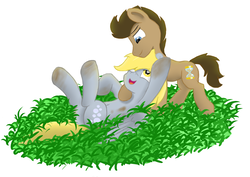 Size: 3661x2586 | Tagged: safe, artist:pzkratzer, derpy hooves, doctor whooves, time turner, earth pony, pegasus, pony, g4, belly button, butt, cute, derpabetes, dirty, duo, female, grass, high res, hug, male, mare, on back, plot, ship:doctorderpy, shipping, simple background, stallion, straight