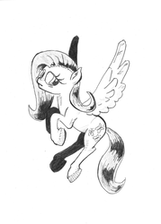 Size: 2370x3312 | Tagged: safe, artist:shoeunit, fluttershy, pegasus, pony, g4, female, high res, looking away, looking sideways, mare, monochrome, simple background, solo, spread wings, traditional art, white background, wings