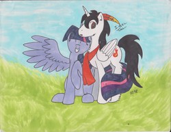 Size: 3302x2550 | Tagged: safe, artist:☲, twilight sparkle, oc, oc:ember storm, alicorn, pony, g4, canon x oc, female, high res, male, raised hoof, shipping, straight, traditional art, twilight sparkle (alicorn), unshorn fetlocks