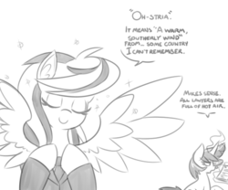 Size: 600x500 | Tagged: source needed, safe, artist:reiduran, oc, oc only, oc:corona flare, oc:ostria chime, pegasus, pony, unicorn, ask, clothes, cute, dialogue, ear fluff, eyes closed, female, glowing horn, grayscale, horn, mare, monochrome, smiling, spread wings, tumblr, wings