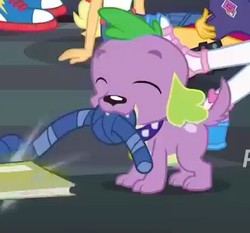 Size: 389x363 | Tagged: safe, screencap, spike, spike the regular dog, dog, equestria girls, g4, my little pony equestria girls: better together, the finals countdown, converse, cropped, eyes closed, male, paws, puppy, shoes