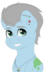 Size: 1908x3000 | Tagged: safe, artist:spirit-dude, oc, oc only, oc:clear skies, pony, commission, ear piercing, male, piercing, simple background, smiling, solo, stallion, transparent background