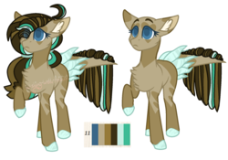 Size: 1758x1229 | Tagged: safe, artist:wishing-well-artist, oc, oc only, earth pony, pony, augmented tail, bald, female, mare, raised hoof, reference sheet, simple background, solo, transparent background, unshorn fetlocks