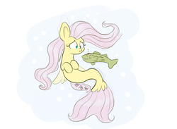 Size: 1500x1100 | Tagged: safe, artist:heir-of-rick, fluttershy, fish, pony, seapony (g4), g4, bandaid, duo, female, hooves to the chest, looking at something, mare, seaponified, seapony fluttershy, species swap, swimming, underwater, watershy