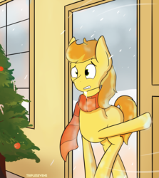 Size: 3127x3508 | Tagged: safe, artist:triplesevens, braeburn, pony, g4, christmas, christmas tree, clothes, door, freezing, high res, holiday, male, scarf, snow, solo, tree