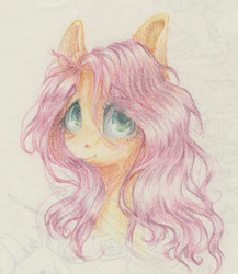 Size: 1279x1471 | Tagged: safe, artist:wopphank, fluttershy, pegasus, pony, g4, bust, colored pencil drawing, female, looking at you, looking sideways, portrait, smiling, solo, traditional art