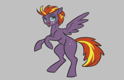 Size: 1391x900 | Tagged: safe, artist:alorix, oc, oc only, pegasus, pony, gray background, rearing, simple background