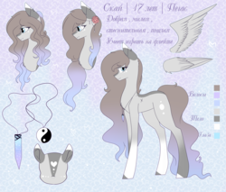 Size: 2700x2300 | Tagged: safe, artist:karinanight125, oc, oc only, oc:sky cloud, pegasus, pony, cyrillic, female, high res, mare, reference sheet, russian, solo