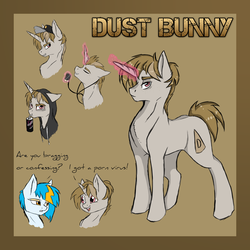 Size: 3000x3000 | Tagged: safe, artist:ilucky7, oc, oc only, oc:dust bunny, oc:hotshot, pony, unicorn, headphones, high res, magic, male, reference sheet, solo focus, stallion