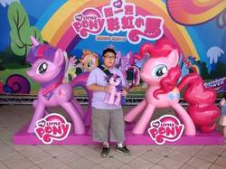 Size: 960x717 | Tagged: safe, pinkie pie, twilight sparkle, alicorn, pony, g4, irl, photo, plushie, twilight sparkle (alicorn)