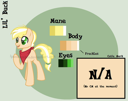 Size: 1091x863 | Tagged: safe, artist:ipandacakes, oc, oc only, oc:lil' buck, earth pony, pony, colt, male, offspring, parent:applejack, parent:flim, parents:flimjack, reference sheet, solo