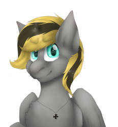 Size: 1512x1627 | Tagged: safe, artist:melpone, oc, oc only, oc:wass, pegasus, pony, male, simple background, solo, stallion, transparent background