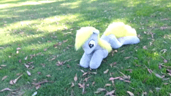 Size: 1280x720 | Tagged: safe, artist:agatrix, artist:earthenhoof, derpy hooves, human, pegasus, pony, g4, animated, female, fetch, grass, irl, irl human, mare, no sound, outdoors, park, photo, plushie, prone, stick, throwing, video, webm