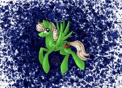 Size: 1024x740 | Tagged: safe, artist:melonseed11, oc, oc only, oc:melon slice, pegasus, pony, male, solo, stallion