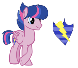 Size: 2360x2064 | Tagged: dead source, safe, artist:rainbows-skies, oc, oc only, oc:star shield, pegasus, pony, high res, male, offspring, parent:flash sentry, parent:twilight sparkle, parents:flashlight, simple background, solo, stallion, white background
